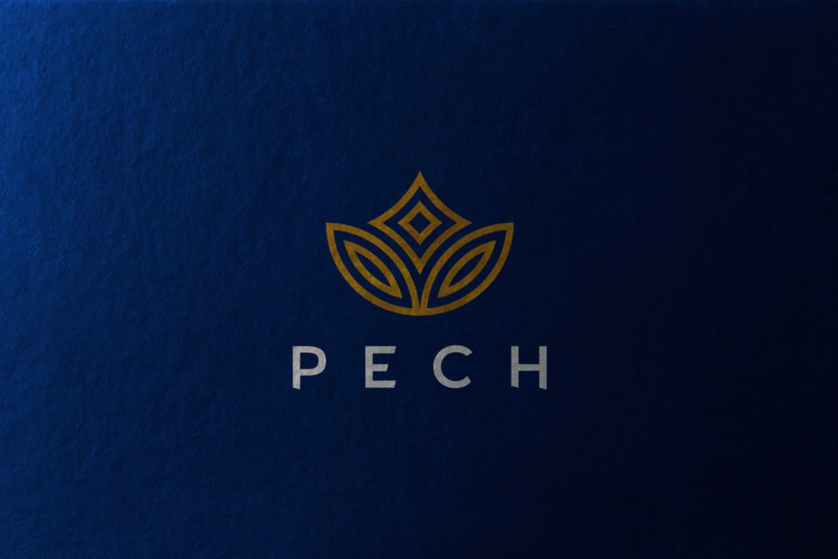 PECH化妝品品牌設(shè)計(jì)