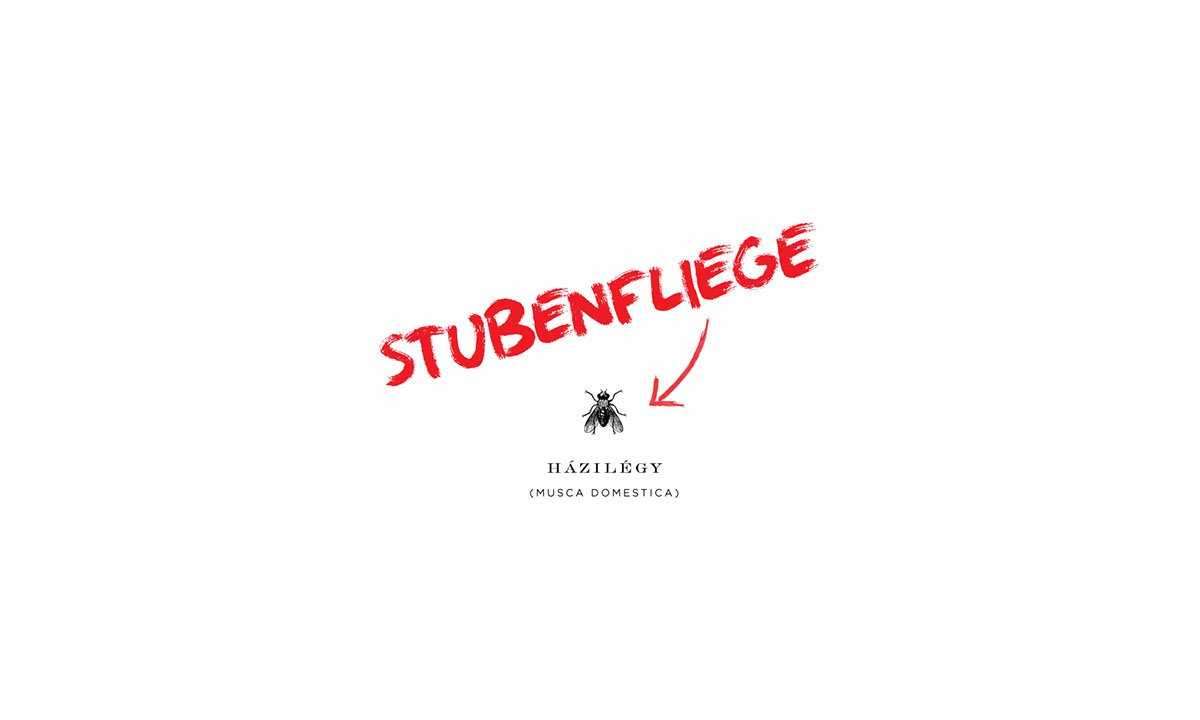 Erzsébet 酒吧品牌形象設(shè)計 字體設(shè)計展示