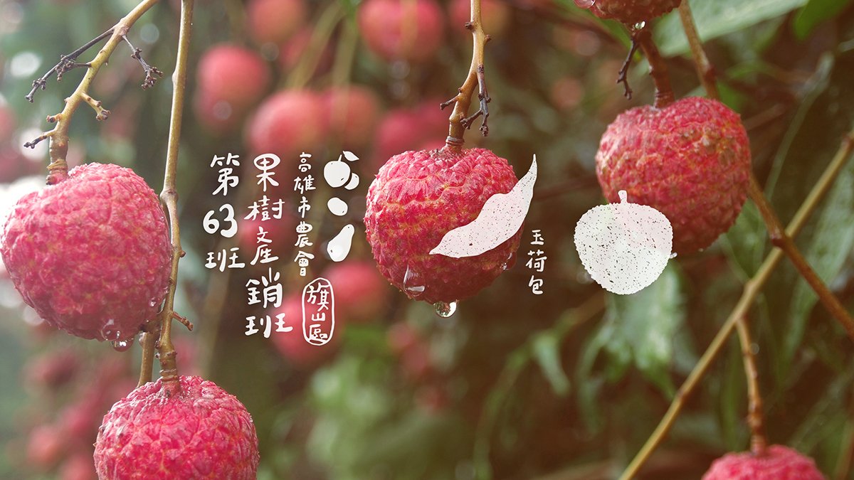 深圳品牌設計  深圳品牌策劃  高雄市農(nóng)會果樹產(chǎn)銷班第63班品牌形象設計  標志設計