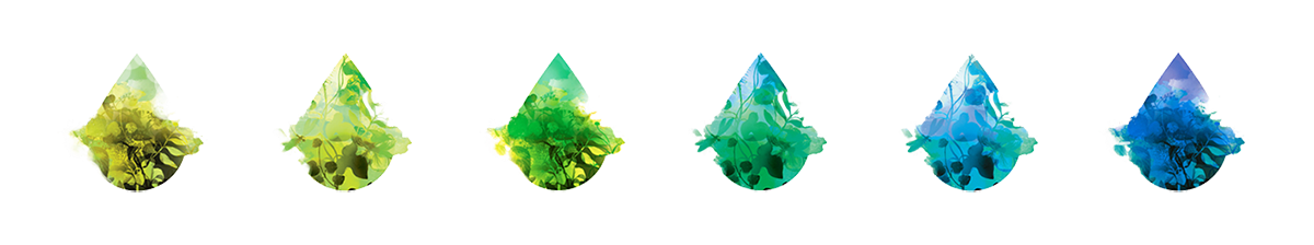 深圳品牌設計  深圳品牌策劃  AURA HERBALS香料包裝形象設計  包裝設計