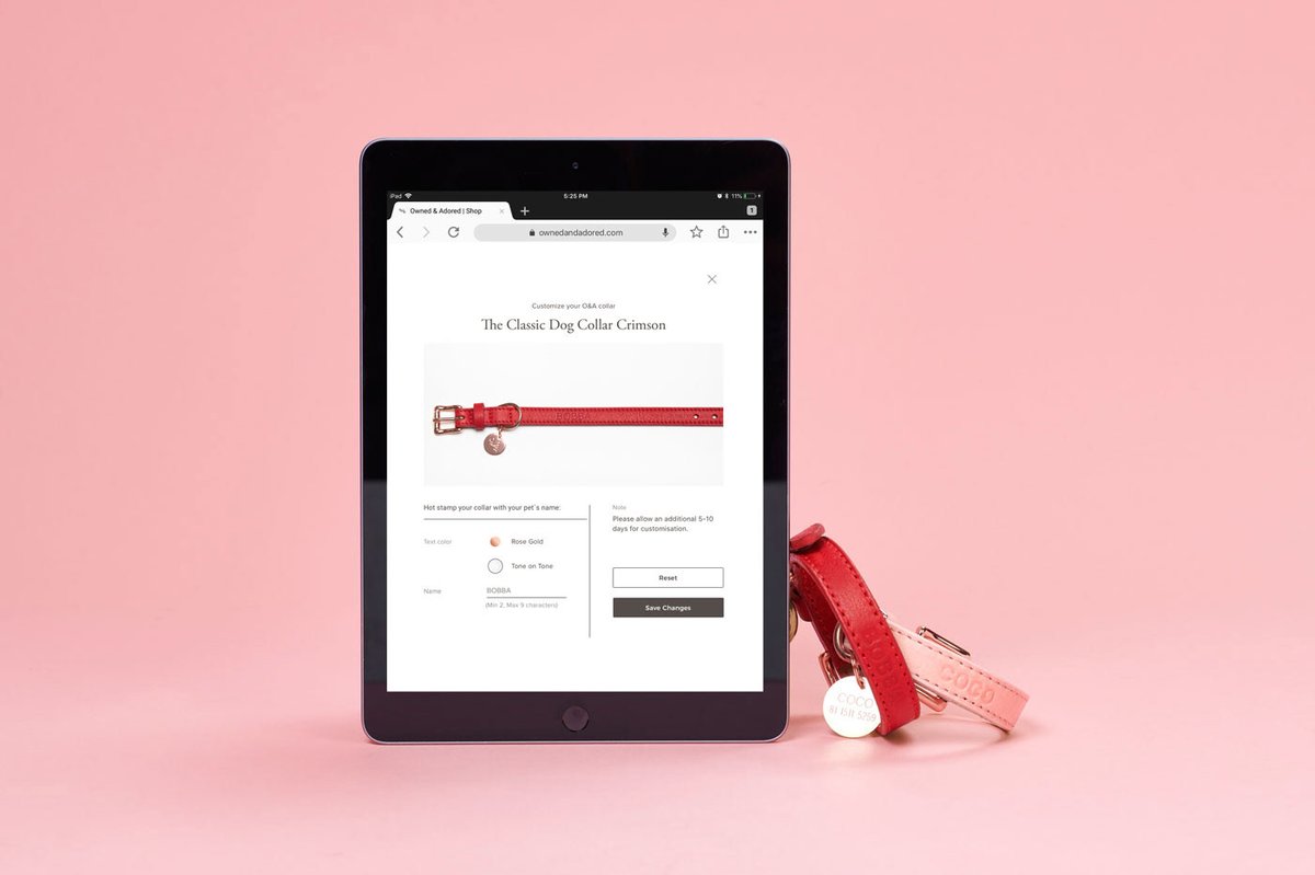 寵物用品品牌線上官方商城網(wǎng)頁設計案例，品牌設計，網(wǎng)頁設計，寵物用品品牌設計，寵物用品商城設計，寵物品牌網(wǎng)頁設計，網(wǎng)頁設計案例