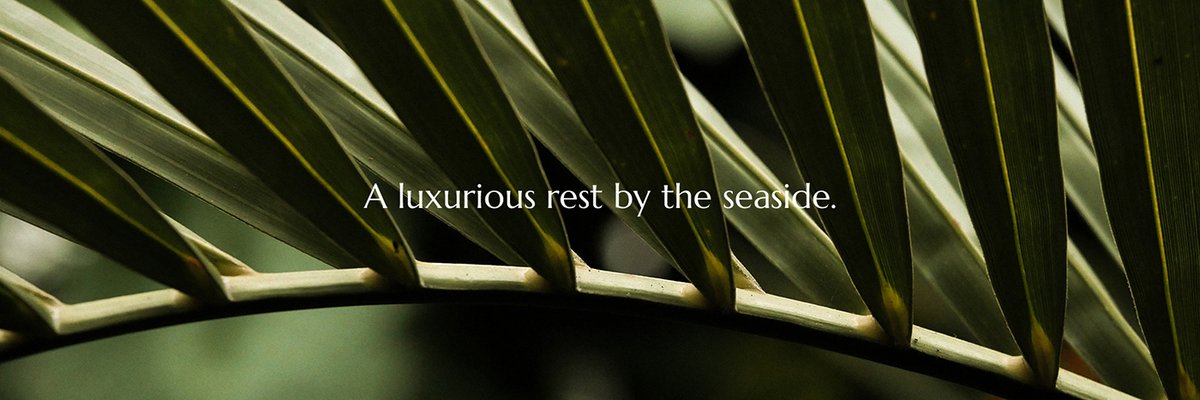 TULUM LUXURY海邊豪華酒店品牌設計和宣傳畫冊設計案例,品牌設計，酒店品牌設計，宣傳畫冊設計，酒店畫冊設計，深圳品牌設計