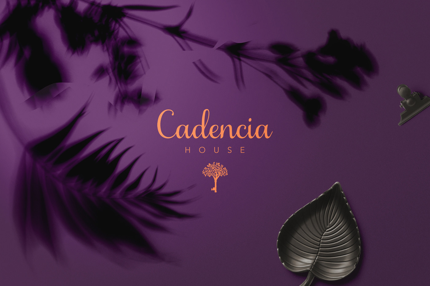 Cadencia時尚服裝品牌設計案例和品牌營銷，服裝品牌形象設計，品牌營銷，深圳品牌設計，左右格局