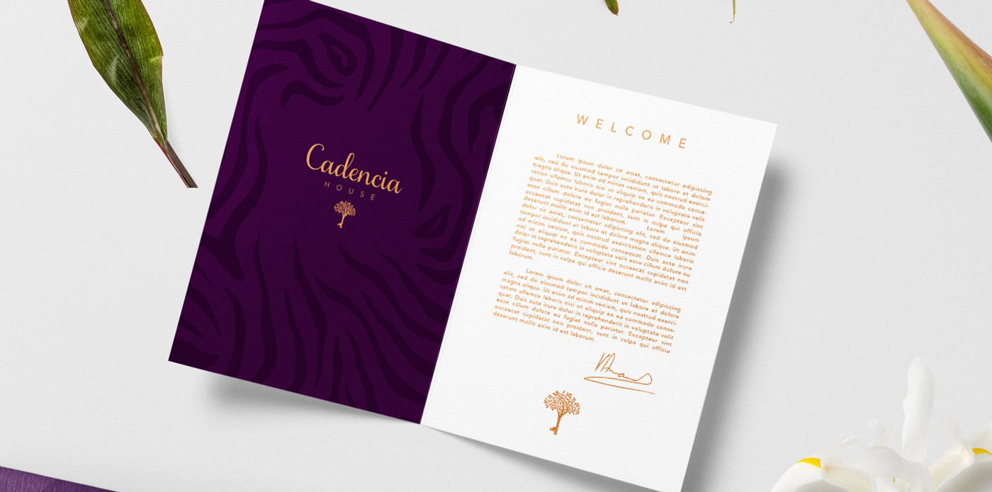Cadencia時尚服裝品牌設計案例和品牌營銷，服裝品牌形象設計，品牌營銷，深圳品牌設計，左右格局