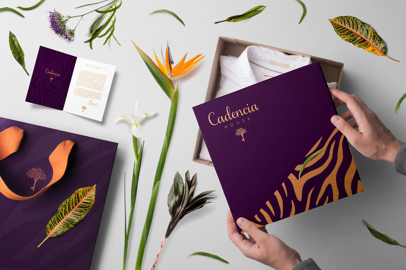 Cadencia時尚服裝品牌設計案例和品牌營銷，服裝品牌形象設計，品牌營銷，深圳品牌設計，左右格局
