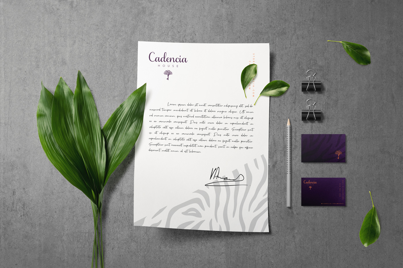 Cadencia時尚服裝品牌設計案例和品牌營銷，服裝品牌形象設計，品牌營銷，深圳品牌設計，左右格局