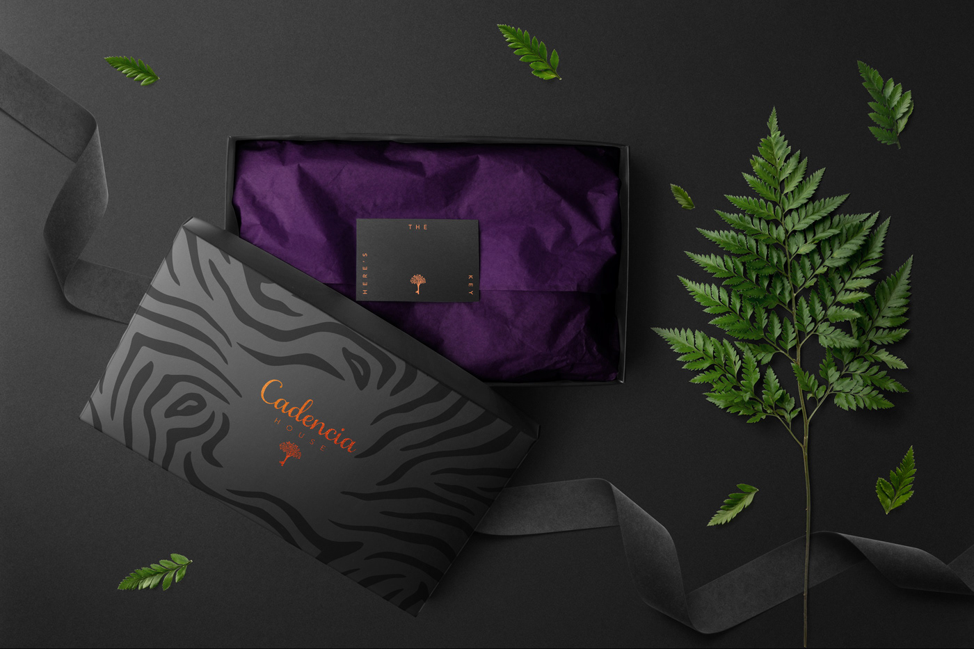 Cadencia時尚服裝品牌設計案例和品牌營銷，服裝品牌形象設計，品牌營銷，深圳品牌設計，左右格局