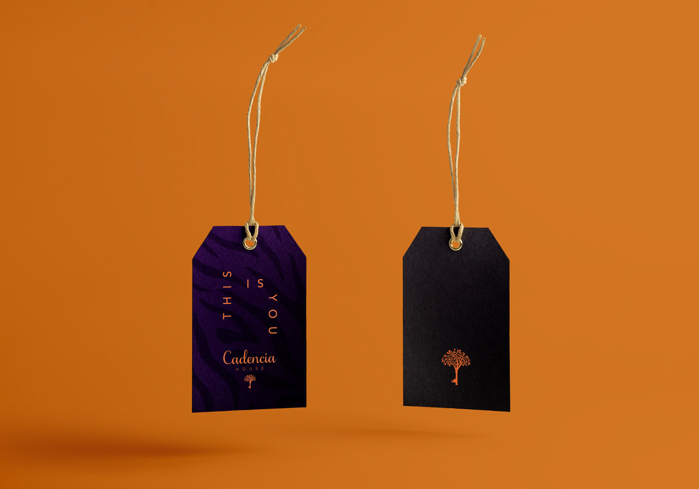 Cadencia時尚服裝品牌設計案例和品牌營銷，服裝品牌形象設計，品牌營銷，深圳品牌設計，左右格局
