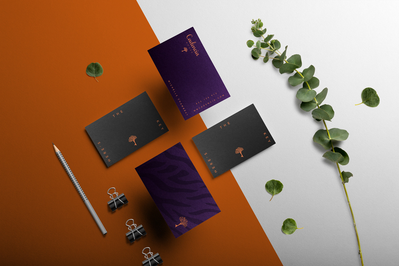Cadencia時尚服裝品牌設計案例和品牌營銷，服裝品牌形象設計，品牌營銷，深圳品牌設計，左右格局