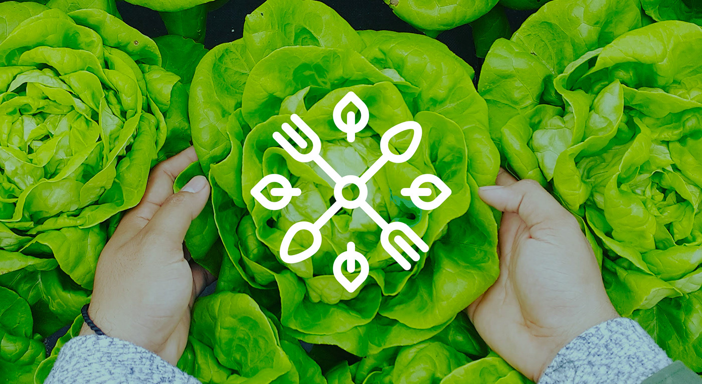 Grassroots 優(yōu)質(zhì)食品企業(yè)品牌形象設(shè)計，食品品牌設(shè)計，食品品牌策劃，深圳品牌設(shè)計，左右格局