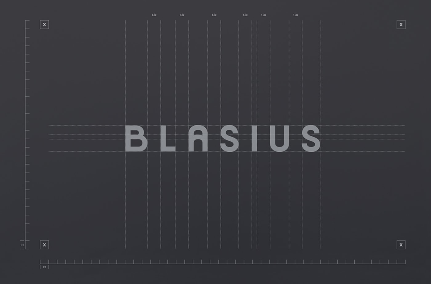 知名 BLASIUS 巴西建筑企業(yè)品牌設(shè)計案例欣賞，建筑品牌設(shè)計，企業(yè)形象設(shè)計，深圳品牌設(shè)計，左右格局