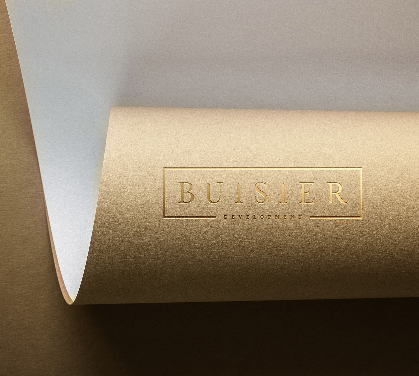 Buisier 精品房地產(chǎn)開發(fā)公司品牌形象設計，建筑品牌設計，企業(yè)形象設計，深圳品牌設計，左右格局