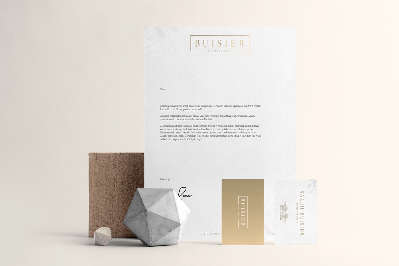 Buisier 精品房地產(chǎn)開發(fā)公司品牌形象設計，建筑品牌設計，企業(yè)形象設計，深圳品牌設計，左右格局