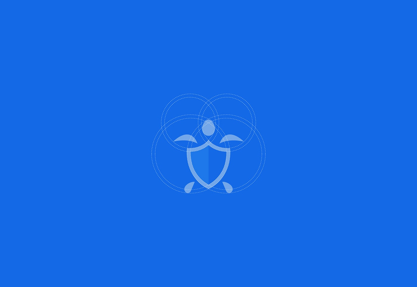 Securtle 網(wǎng)絡(luò)金融咨詢企業(yè)品牌視覺設(shè)計，金融品牌設(shè)計，品牌形象設(shè)計，品牌設(shè)計公司，左右格局