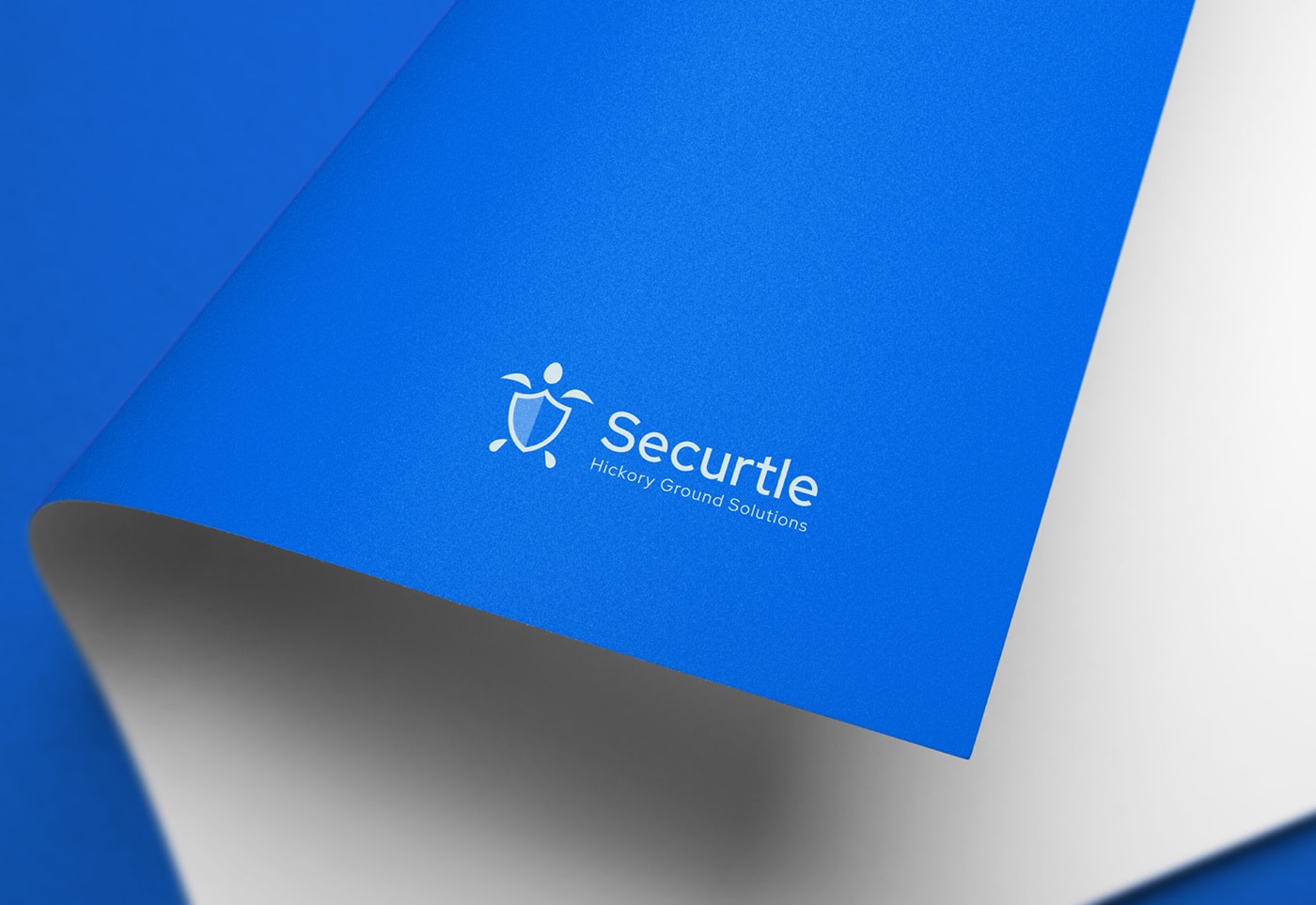 Securtle 網(wǎng)絡(luò)金融咨詢企業(yè)品牌視覺設(shè)計，金融品牌設(shè)計，品牌形象設(shè)計，品牌設(shè)計公司，左右格局